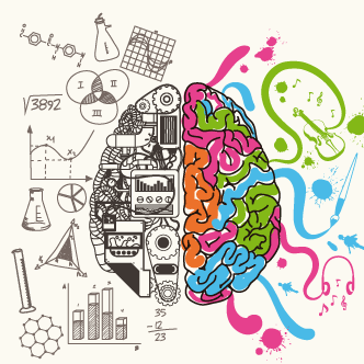 hemisferios-del-cerebro